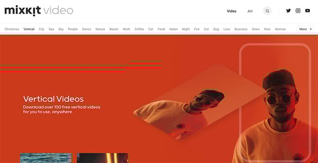 Portrait stock video